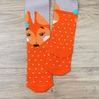 Колготки детские "Лисичка" серый рост 98-104 см, 3-4 лет, 80% хл.,17% п/а, 3% эл. - Фото 3