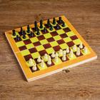 Шахматы "Тульпа", доска 24 х 24 см - фото 3785111