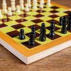 Шахматы "Тульпа", доска 24 х 24 см - фото 3785113