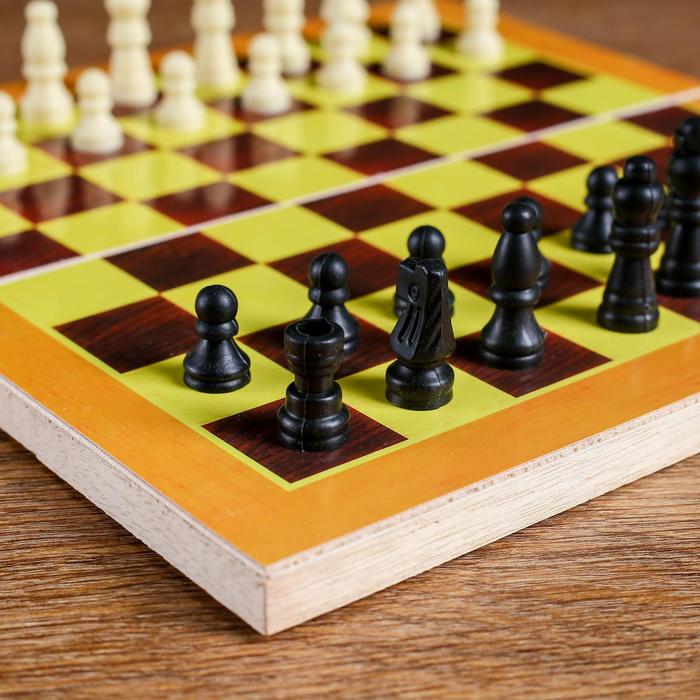 Шахматы "Тульпа", доска 24 х 24 см - фото 1887623059