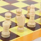 Шахматы "Классика", доска 29 х 29 см - Фото 6