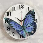 Часы настенные, интерьерные: Животный мир, "Бабочка", d-21 см, бесшумные - фото 8316894