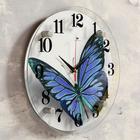 Часы настенные, интерьерные: Животный мир, "Бабочка", d-21 см, бесшумные - фото 8316895