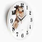 Часы настенные, интерьерные: Животный мир, "Кот", d-30 см, бесшумные - фото 9759245