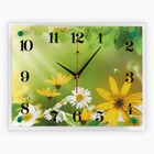 Часы настенные: Цветы, "Ромашки", 30х40 см - Фото 1
