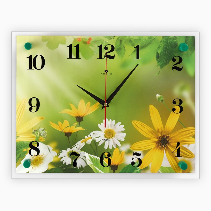 Часы настенные: Цветы, "Ромашки", 30х40 см