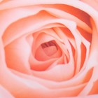 Фотошторы кухонные «Молодые розы», размер 145х160 см - 2 шт, габардин - Фото 2