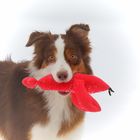 Игрушка для собак OSSO «Рак» с неубиваемой пищалкой, 25 см - Фото 3