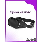 Сумка на пояс OSSO "Полина", 20 х 10 х 11 см, микс цветов - Фото 1