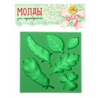 Молд для творчества "Перышки и листочки", 8 х 8 см - Фото 4