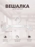 Вешалка для белья 22×11.5 см (фасовка 10 шт.), прозрачная - Фото 1