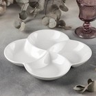 Менажница фарфоровая 4 ячейки Wilmax, 22×22 см, цвет белый - Фото 1