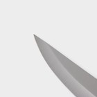 Набор ножей кухонных на подставке Доляна, 6 предметов: ножи 8 см, 11 см, 13 см, 19 см, 20 см, ножницы, цвет чёрный - Фото 5