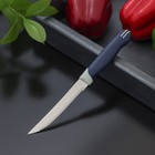 Нож для мяса Доляна «Страйп», зубчатое лезвие 11,5 см, цвет синий - Фото 4