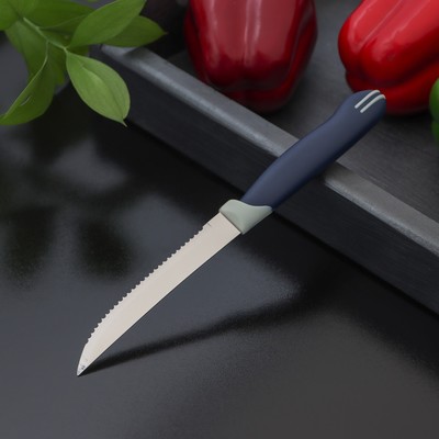Нож для мяса Доляна «Страйп», зубчатое лезвие 11,5 см, цвет синий