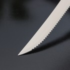 Нож для мяса Доляна «Страйп», зубчатое лезвие 11,5 см, цвет синий - Фото 3
