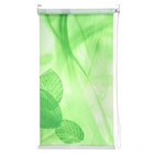 Штора рулонная «Герда», 60×196 см (с учётом креплений 3,5 см) - Фото 1