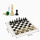 Шахматы в пакете, фигуры (пешка h-4.5 см, ферзь h-7.5 см), поле 50 х 50 см - фото 19589360