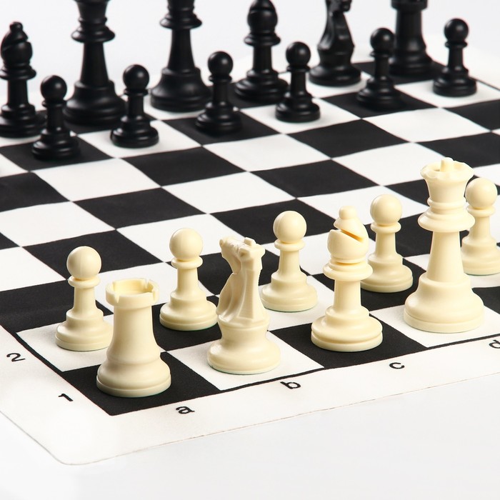 Шахматы в пакете, фигуры (пешка h-4.5 см, ферзь h-7.5 см), поле 50 х 50 см - фото 1906852121