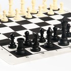 Шахматы в пакете, фигуры (пешка h-4.5 см, ферзь h-7.5 см), поле 50 х 50 см - фото 8317247