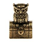 Кошельковый талисман, фигурка в кошелек «Денежный страж», 1.5×1 см - Фото 3