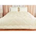 Одеяло «Лежебока», размер 172х205 см - фото 6042420