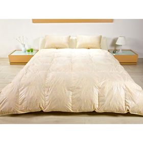 Пуховое одеяло Florina, размер 172х205 см