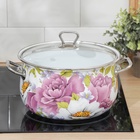 Кастрюля эмалированная «Пион», 5,1 л, d=22 см, стеклянная крышка, индукция - Фото 6