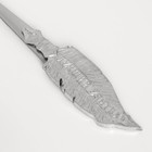 Ложка чайная «Любимому учителю», 3×17 см - Фото 7