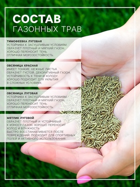 Семена газона Настоящий Низкорастущий, 0,3 кг (комплект 2 шт)