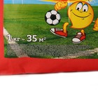 Семена газонной травы Sport Meister Gras, 1 кг - Фото 3