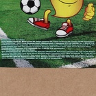 Семена газонной травы Sport Meister Gras, 10 кг - Фото 9