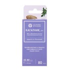 Фунгицид "Кагатник" для обработки картофеля перед посадкой, фл. 80 мл - фото 24418468