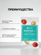 Средство для уничтожения сорняков на картофеле и томатах «Зонтран», ампула, 5 мл - Фото 2