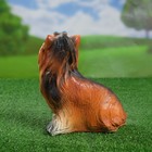 Садовая фигура "Собака Йоркширский терьер" маленький - Фото 2