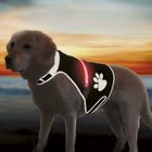 Светящаяся попона Trixie для собак USB, S: 36–58 см, черная - Фото 2