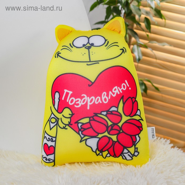 Игрушка-антистресс «Поздравляю», Котэ - Фото 1