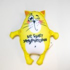 Игрушка-антистресс «Всё будет замурчательно», кот, 28х20 см - Фото 2