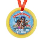 Медаль-магнит на ленте «Выпускник начальной школы», d = 7 см - фото 321430538