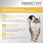 Сухой корм Perfect Fit для чувствительных кошек, индейка, 650 г - Фото 3