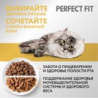 Сухой корм Perfect Fit для чувствительных кошек, индейка, 650 г - Фото 8