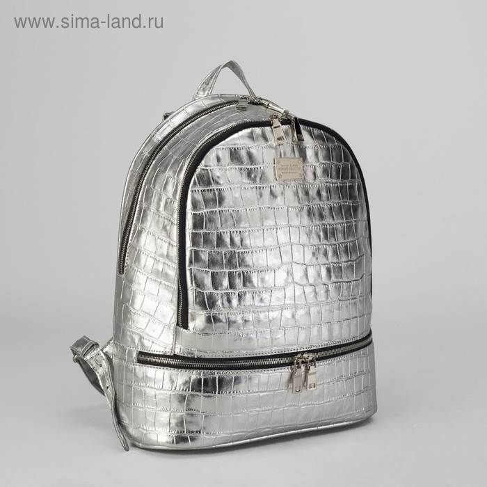 Рюкзак школьный, отдел на молнии, наружный карман, эргономичная спинка, цвет серебро - Фото 1