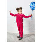 Комплект для девочки (толстовка, брюки), рост 98-104 см, цвет малиновый - Фото 1