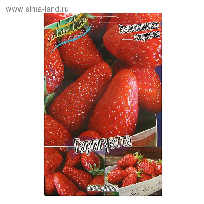 Клубника гаригуэтта описание фото отзывы Клубника гаригуэтта описание фото отзывы
