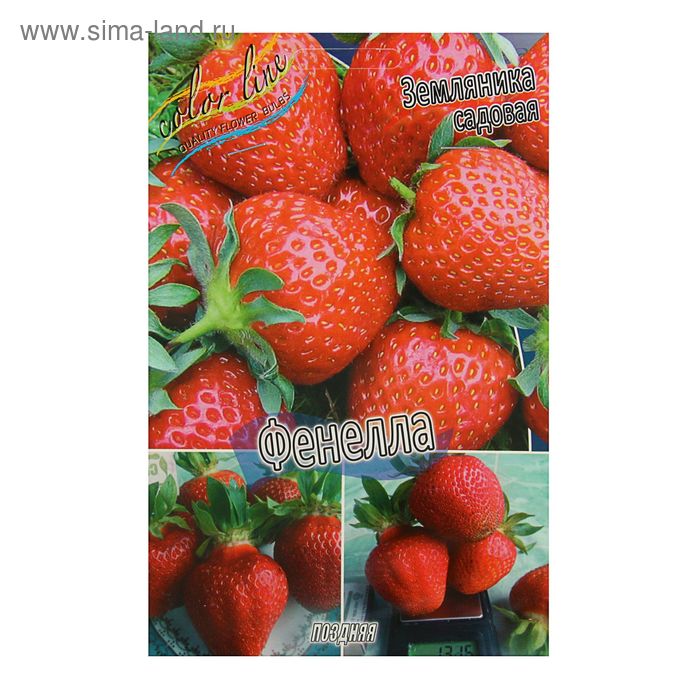 Каталог 2019. Ремонтантные сорта. Клубника - презентация онлайн