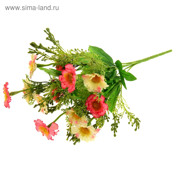 букет ромашки 35 см - Фото 1