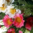 букет ромашки 35 см - Фото 3