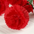 Цветы искусственные "Гвоздика кустовая" 60 см, красный - Фото 2