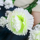 Цветы искусственные «Гвоздика кустовая», h=60 см, белые - Фото 2