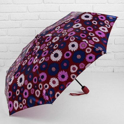 Зонт автоматический «Ромашки», 3 сложения, 8 спиц, R = 55 см, цвет бордовый